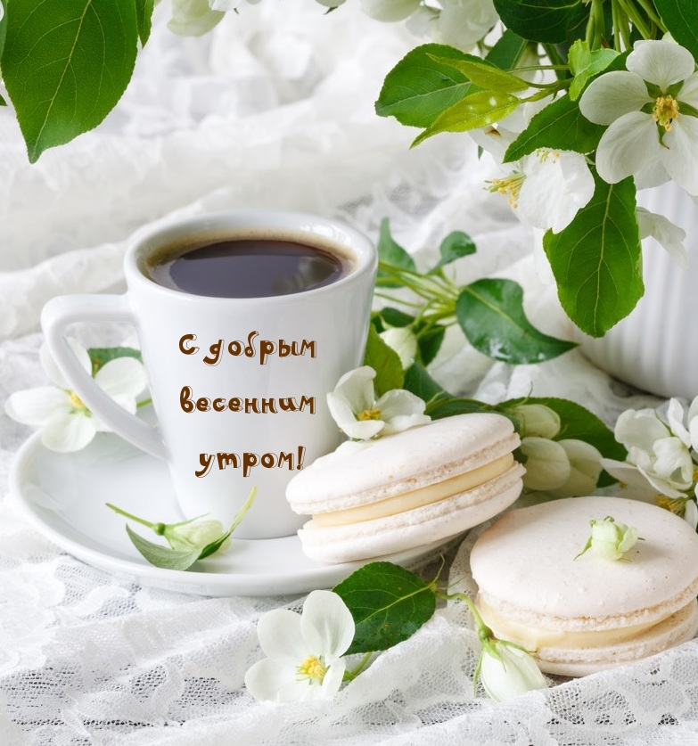 Доброе Утро, Друзья! Отличного Настроения!