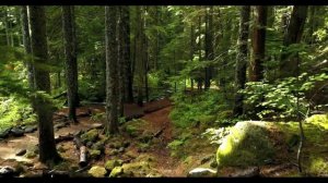 Музыка для расслабления и сна