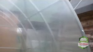 Теплица Северная обзор