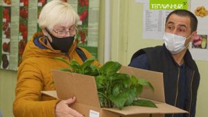 В "Тепличном" началась продажа рассады для огородников