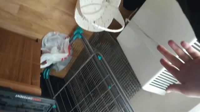 Как поймать крысу в домашних условиях (нет) смотреть онлайн