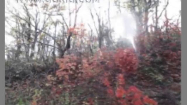Грабовой Г.П. Учение Григория Грабового Часть 2