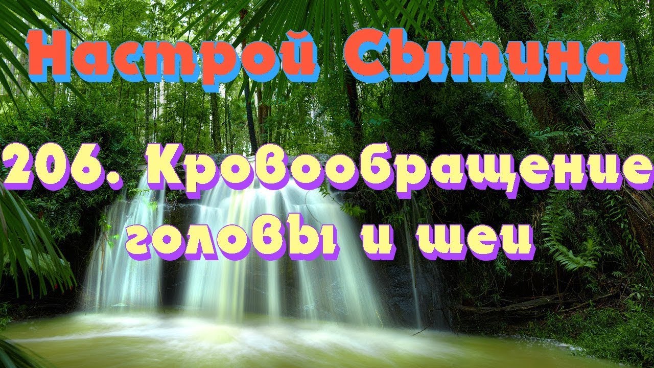 настрой сытина от стресса для женщин. настрои сытина на оздоровление головного мозга. настрои сытина для женщин. нервно мозговой аппарат читает автор сытин. оздоровление головного мозга для женщин сытин.