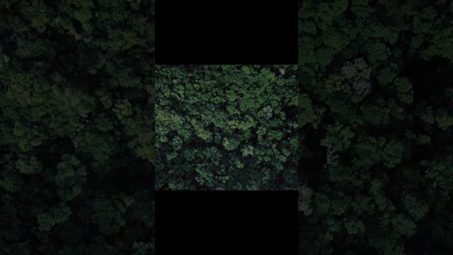 ♨️🗯️ НАЗВАНИЕ КИНО ФИЛЬМА КОНСЕ ВИДЕО РОЛИКИА🗯️♨️