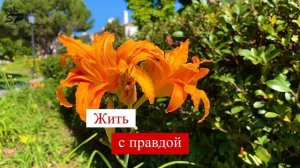 Правда - ценнейший материал, как инструкция к применению в нашей жизни.