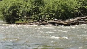 Река Извилинка. 22-24.06.2012 г.