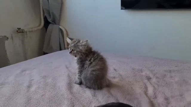 Красота с помойки! Главное не бояться трудностей.