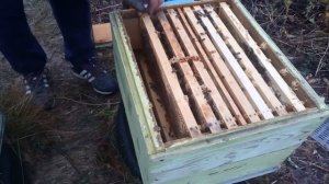 Объединение двух маточной семьи для зимовки 28 октября 2018