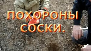 Похороны соски.