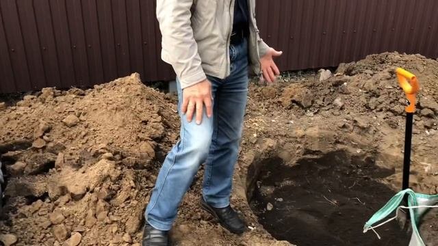 Посадка деревьев круглый год.