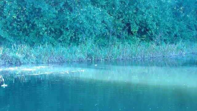 Рыбалка на кружки. Открытие осеннего сезона 2019. Выпуск 28. Opening of the fall season 2019. смотреть онлайн