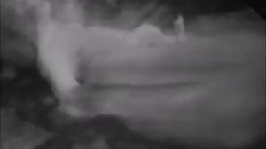 King kong en plastilina. Por Juan Martín Allende 2017