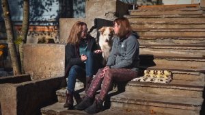 Бордер-колли всё о породе собаки.mp4