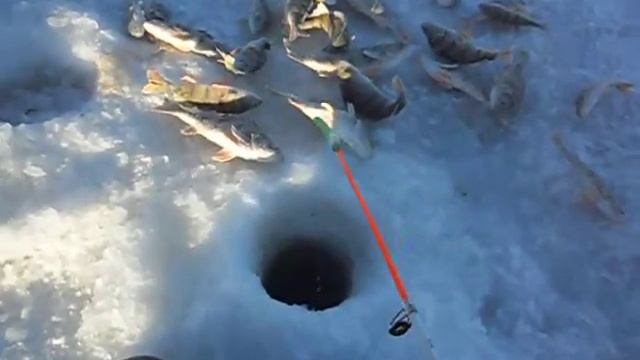 Рыбалка в лютый мороз смотреть онлайн