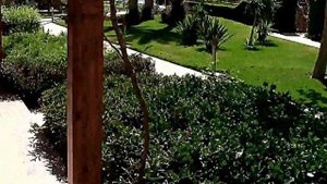 Египет. Хургада. Сафага. Отель Imperial Shams Abu Soma Resort 5*.