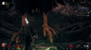 Remnant 2: Как пройти птицу в локации "Гнездо Коара-Кури"