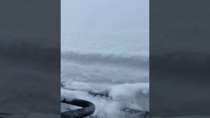 Stels Viking 600! Покатушки на стелс викинг 600, зима, север, Кольский полуостров, летом не пахнет!