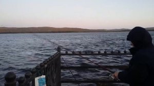 27 сентября 2019 г. / Комсомольск / НАБЕРЕЖНАЯ / рыбалка / Комсомольск-на-Амуре / Комса осень 2019