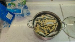 Как варить еду для овчарки? Рецепт!