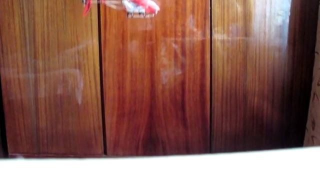 Вертолёт GYRO-109 смотреть онлайн