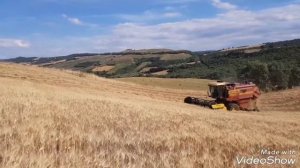 Trebbiatura grano con New holland 3560 azienda agricola Salerno