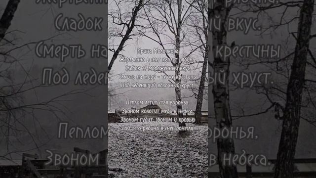 #поэт Ирина Молочкова #поэзия #стихи #video by https://vk.com/id104270217