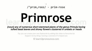 Pronunciation of Primrose | Definition of Primrose