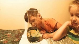 Лава лампа Эксперименты для дошкольников. Обьяснение опыта