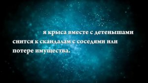 К чему снится большая крыса - Онлайн Сонник Эксперт