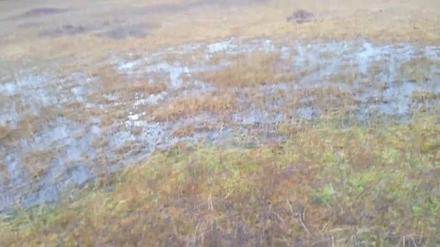 Знакомство с озером Ваштор