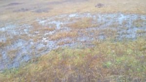 Знакомство с озером Ваштор
