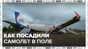 Капитан посадил самолет в поле в Новосибирской области из-за риска нехватки топлива - Москва 24