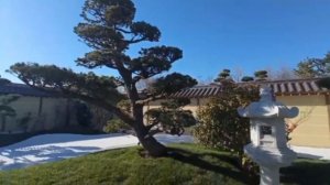 МАЛЕНЬКАЯ ЯПОНИЯ ВНУТРИ РОССИИ, ГОРЯЧИЙ КЛЮЧ С ВЫСОТЫ ПТИЧьЕГО ПОЛЁТА /VLOG "Дыхание гор" |Delya Me