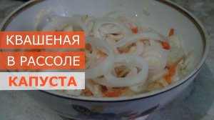 Квашеная в рассоле капуста быстрого приготовления