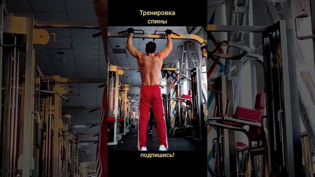 Спина: тренировка на перекладине!