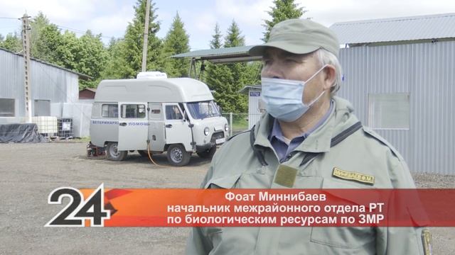 В заинском охотхозяйстве следят за популяцией диких животных смотреть онлайн