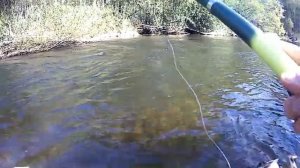 Ловля ленка на реке Ульбинка