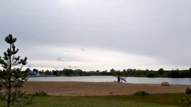 ЦВЕТЫ ИМПЕРАТРИЦЫ? |РЕВЕНЬ?| СЛАДОСТИ РАХАТ? смотреть онлайн