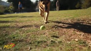 Nerf Stomper Игрушка для собак Катапульта для теннисных мячей - www.myaw.by