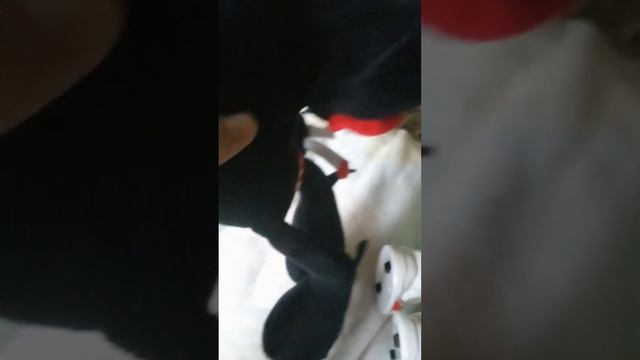 скибиди игрушки 10( ура камера мен титан починился) смотреть онлайн