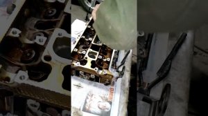 Рассухариватель 16кл.
