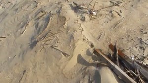 Весь пляж Анапы усыпан мусором и старыми водорослями