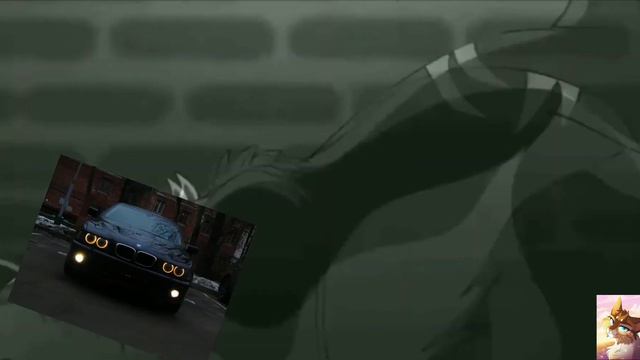 Коты воители.Бич .Клип смотреть онлайн