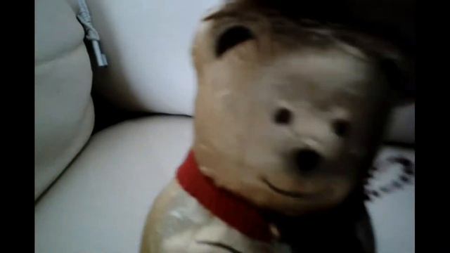 Как выглядит сон кота смотреть онлайн