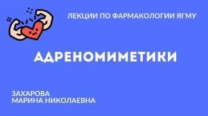 Адреномиметики |  Медиаторная фармакология