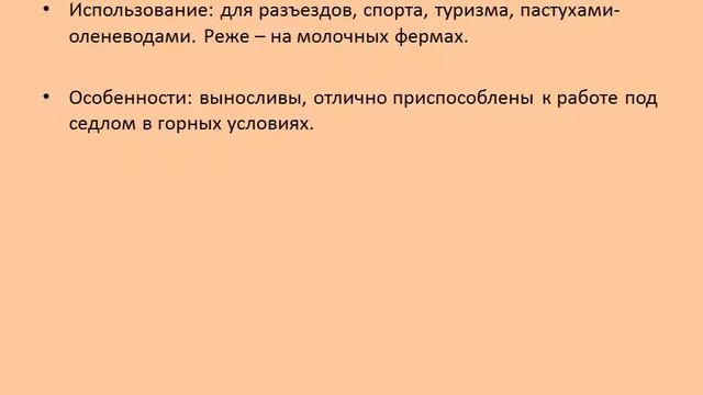 Алтайская лошадь смотреть онлайн