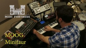 Don't Stop the Music_synth bass challenge