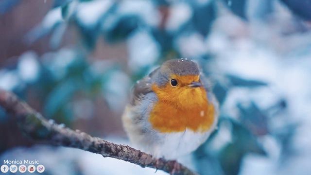 ВОССТАНОВЛЕНИЕ НЕРВНОЙ СИСТЕМЫ! Зимняя сне расслабляющая музыка, Эту музыку можно слушать вечно! смотреть онлайн