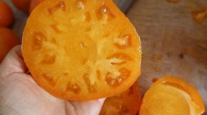 томат ОРАНЖЕВЫЙ ГИГАНТ ДМИТРИЕВА обзор плодов и дегустация