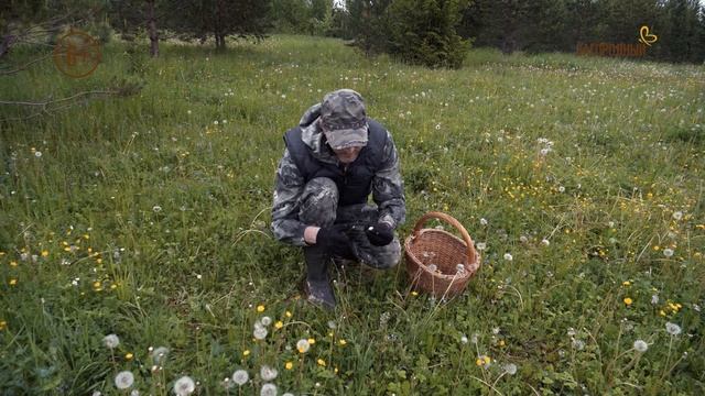 Полный погреб. Анонс. Канал Загородный.